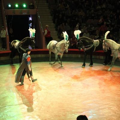 В Курском государственном цирке